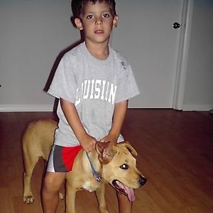 Meet your Posher, Petar